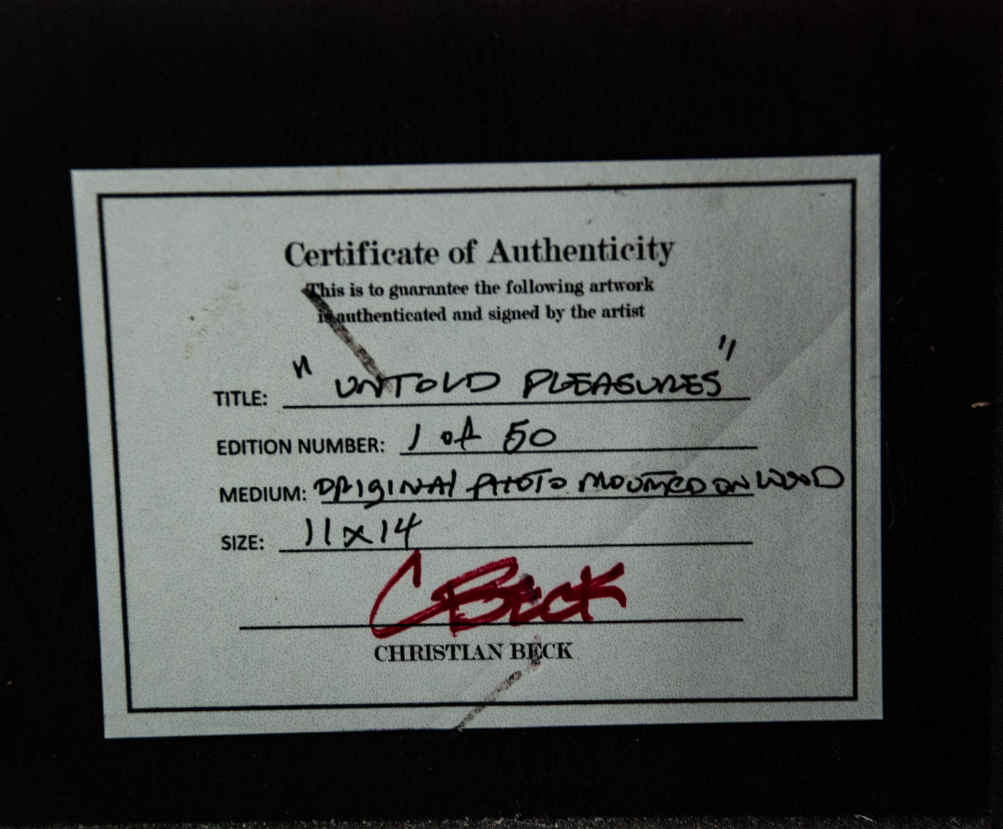 "Untold Pleasures" Photo Mounted on Wood by Christian Beck
